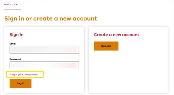 screenshot update password via forgot password link